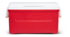 Koelbox Igloo Laguna 48 Red -Kampeeruitrusting 00050063 F 1