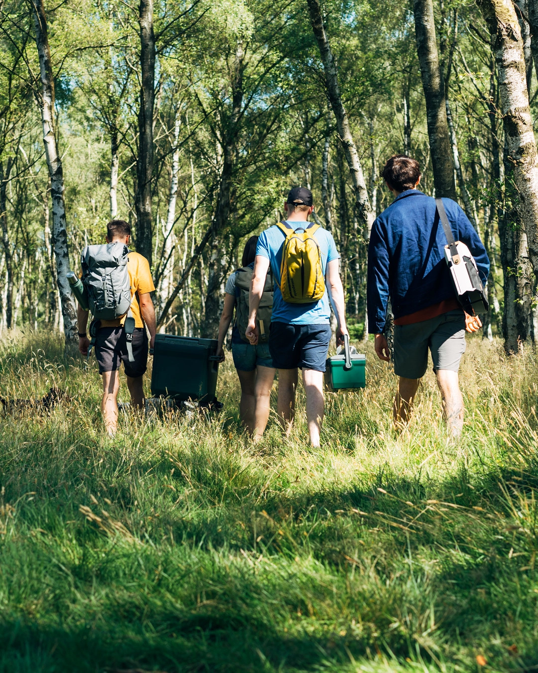 Koelbox Stanley The Easy Carry Outdoor Green 6,6L 6 Koelbox Stanley The Easy Carry Outdoor Green 6,6L - Afbeelding 6