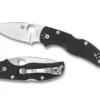 Vouwmes Spyderco Native 5 Black